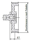 Pulley Ø100 mm ET 12.5 mm